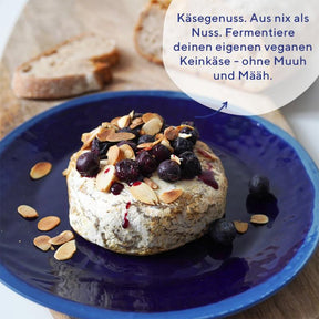 veganer Camembert, fermentiert, fairment, Fermentation, veganer Käse, vegan cheese, Cashewbert, Käsekultur, Käse Starter, veganer Frischkäse, Käsealternative, Käseersatz, Starter Kit Keinkäse