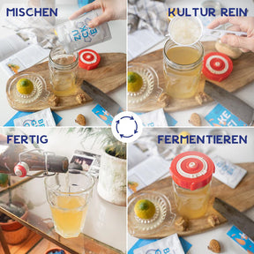 Wasserkefir Starter Kit - Bio Wasserkefir selber machen